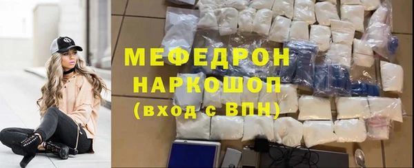 индика Няндома