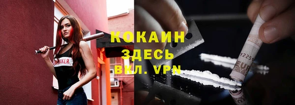 индика Няндома