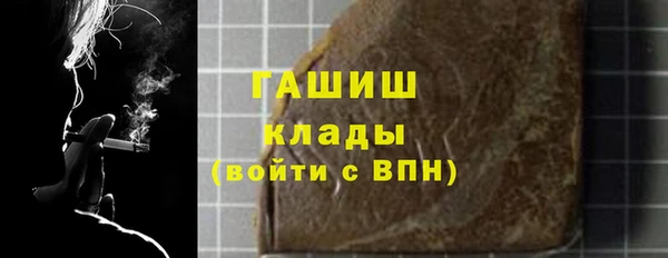 индика Няндома