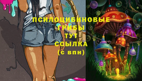 PSILOCYBIN Соликамск