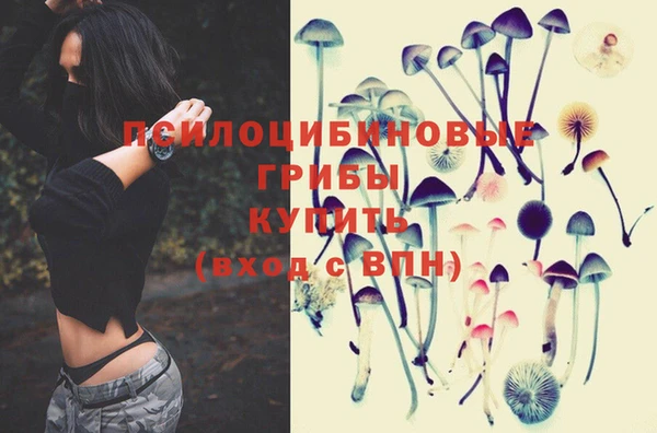 стафф Солнечногорск