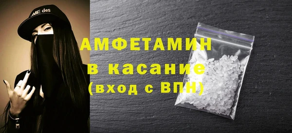 индика Няндома