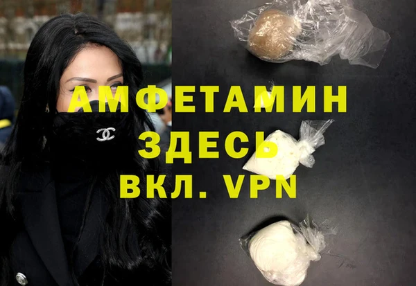 индика Няндома