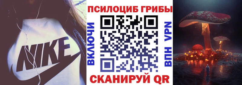 Галлюциногенные грибы прущие грибы  KRAKEN как войти  Черкесск  где найти  