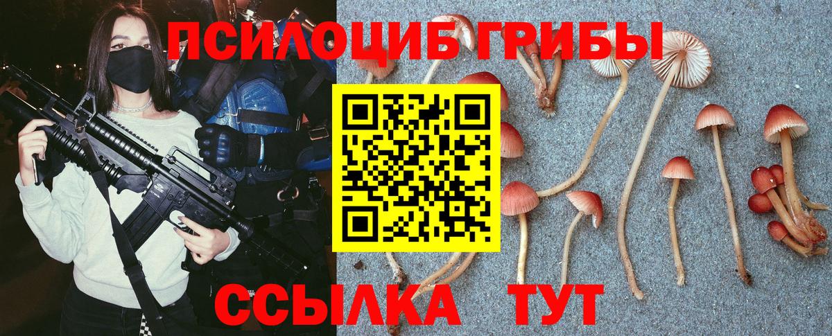 Псилоцибиновые грибы Magic Shrooms Черкесск