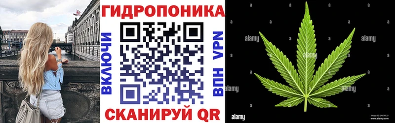 Марихуана Bruce Banner купить Черкесск